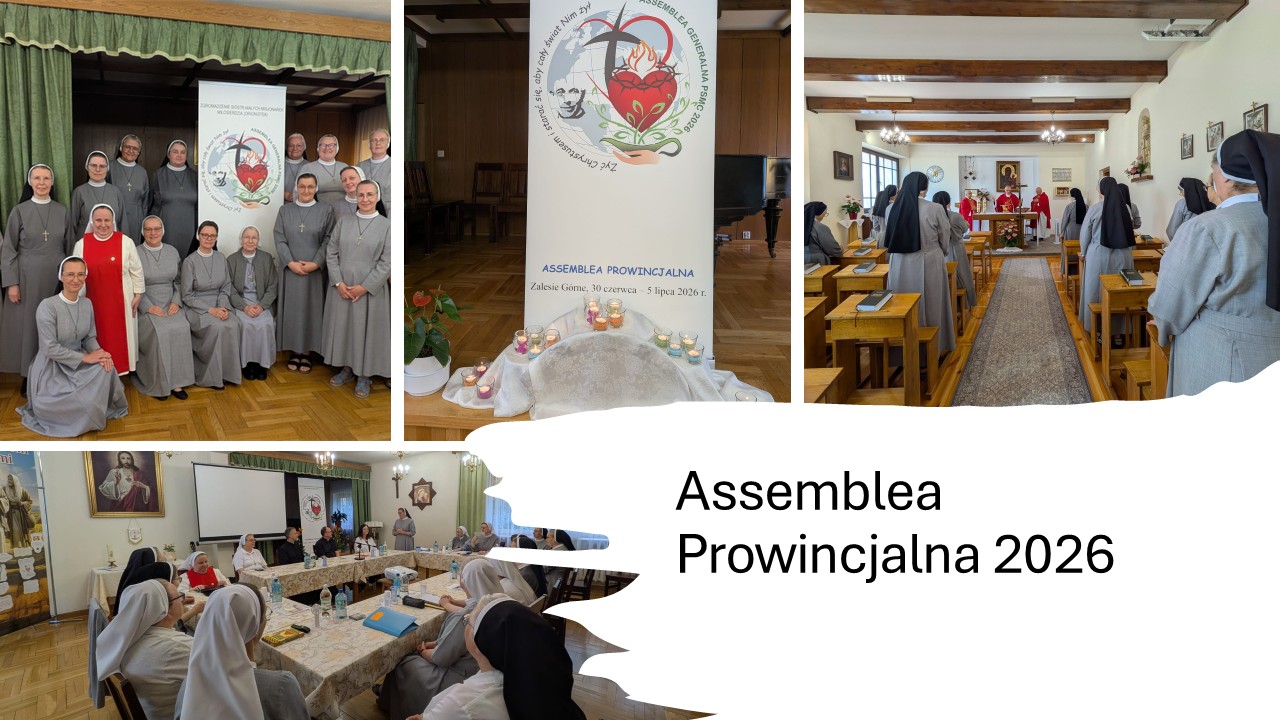 Assemblea Prowincjalna